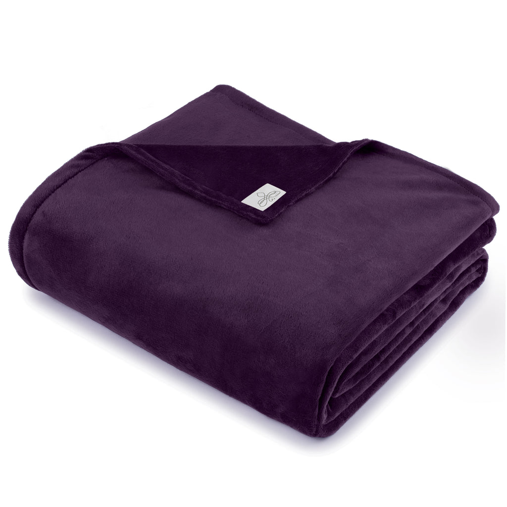 BiggerBee Throw Blanket ~ PLC Jewel Purple